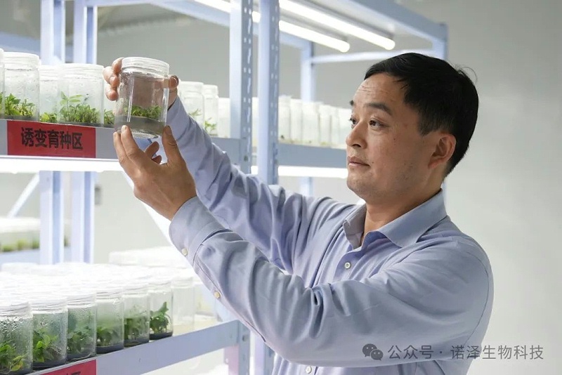 恭喜湖南诺泽生物董事长刘智谋先生喜获--国家级科学技术奖