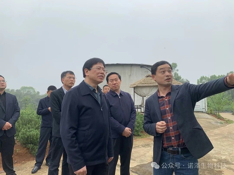 省委政研室一级巡视员罗云寿一行莅临湖南诺泽生物考察林下经济发展工作