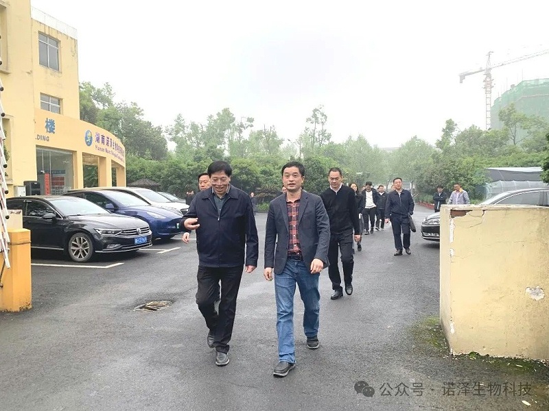 省委政研室一级巡视员罗云寿一行莅临湖南诺泽生物考察林下经济发展工作