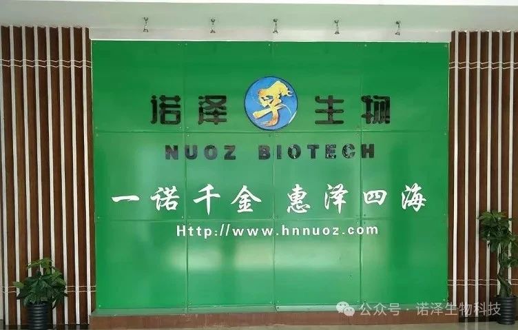 广东省连山县县委书记许崇砚一行莅临诺泽生物考察山苍子产业发展