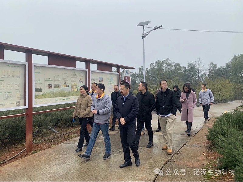 广东省连山县县委书记许崇砚一行莅临诺泽生物考察山苍子产业发展