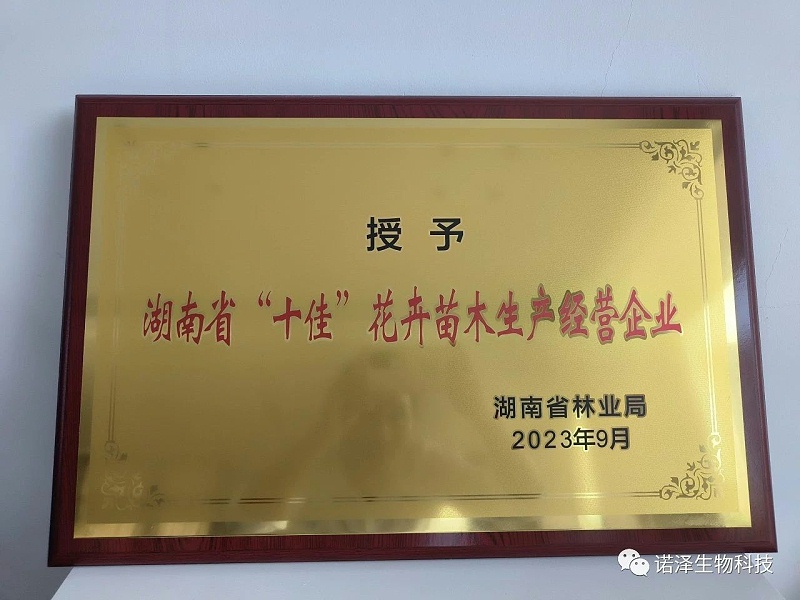 诺泽--秉持诚信利他 收获春华秋实