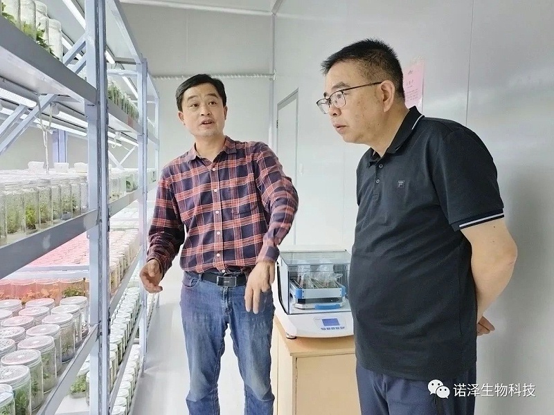 湖南省林业科学院党委书记陈明皋一行莅临诺泽生物调研！
