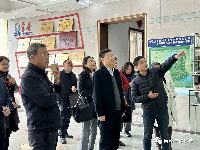 一花一世界，一香一境界 || 广东省委统战部民宗委考察组莅临诺泽生物共谋山苍子一二三产业融合发展