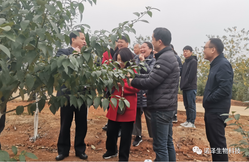 一花一世界，一香一境界 || 广东省委统战部民宗委考察组莅临诺泽生物共谋山苍子一二三产业融合发展