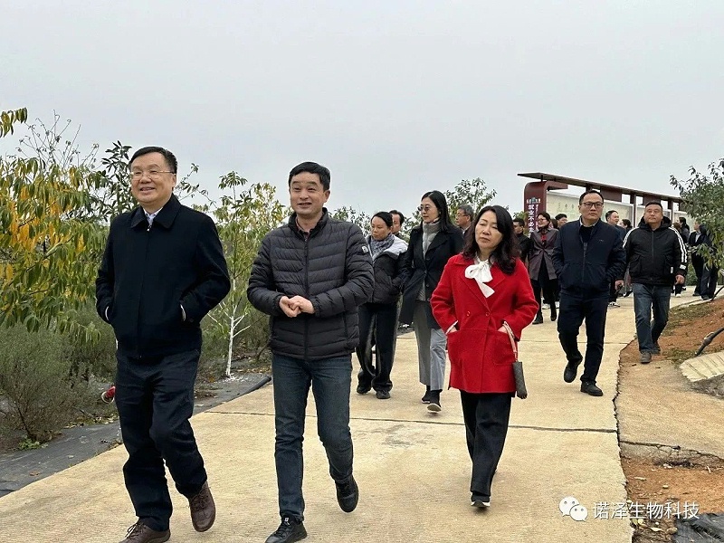 一花一世界，一香一境界 || 广东省委统战部民宗委考察组莅临诺泽生物共谋山苍子一二三产业融合发展