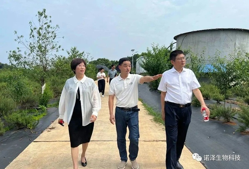 热烈欢迎中国香料香精化妆品工业协会颜江瑛理事长一行莅临诺泽生物调研！