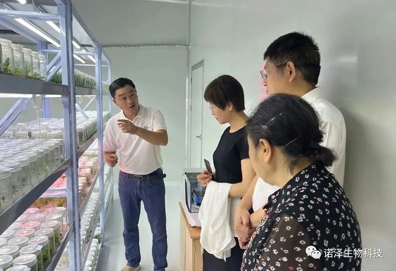 热烈欢迎中国香料香精化妆品工业协会颜江瑛理事长一行莅临诺泽生物调研！