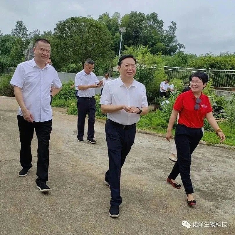做强做优特色产业 奏响乡村振兴“致富曲”