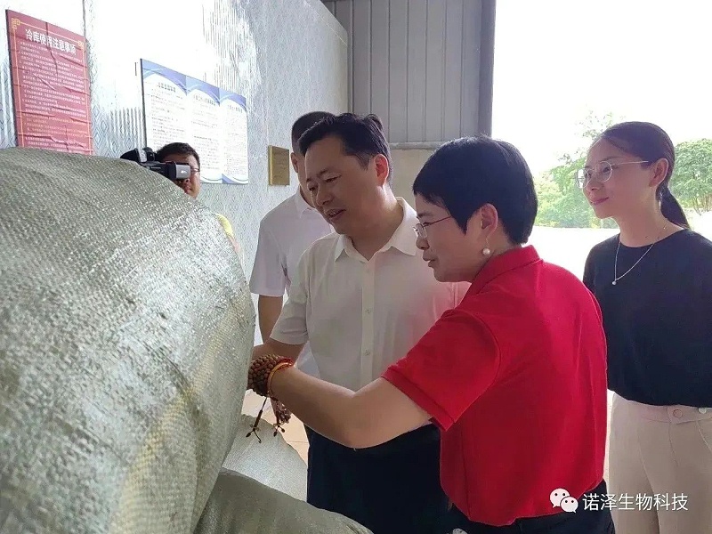 做强做优特色产业 奏响乡村振兴“致富曲”