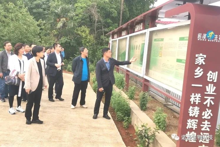 中国工程院院士印遇龙、广西玉林市香料产业考察组、湖南省植提协会成员莅临诺泽生物考察交流