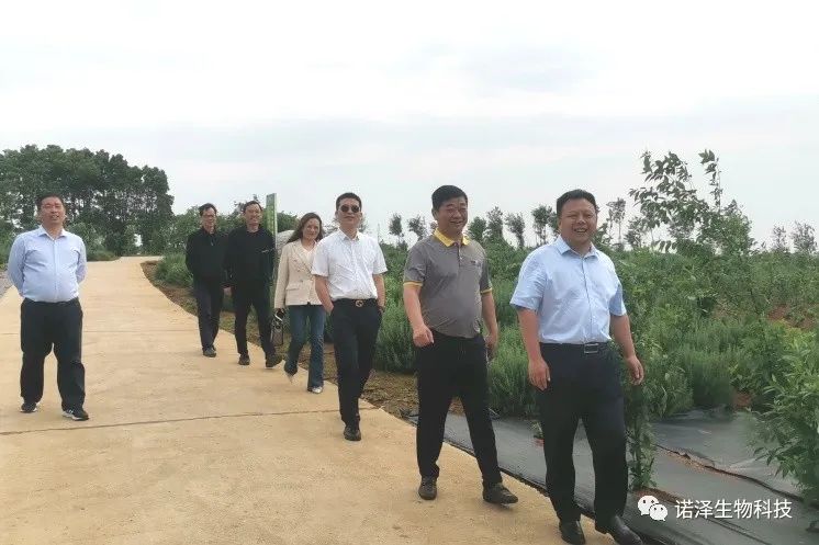 中国工程院院士印遇龙、广西玉林市香料产业考察组、湖南省植提协会成员莅临诺泽生物考察交流
