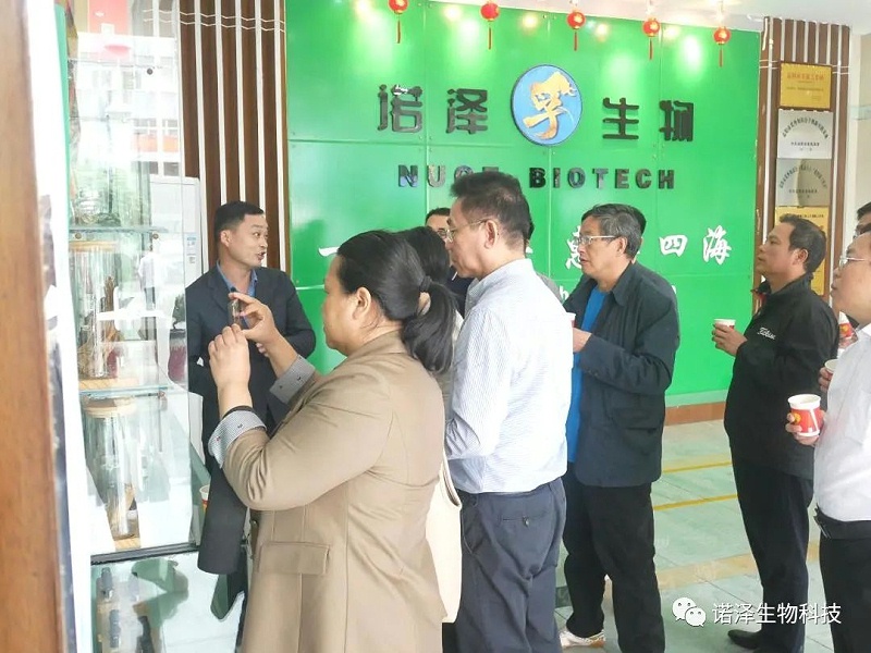 中国工程院院士印遇龙、广西玉林市香料产业考察组、湖南省植提协会成员莅临诺泽生物考察交流