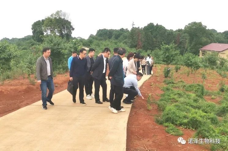 中国工程院院士印遇龙、广西玉林市香料产业考察组、湖南省植提协会成员莅临诺泽生物考察交流