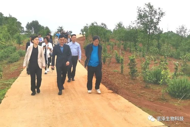 中国工程院院士印遇龙、广西玉林市香料产业考察组、湖南省植提协会成员莅临诺泽生物考察交流