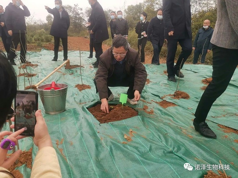 智慧引领科技创新，诚信利他共谋发展