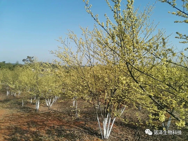 智慧引领科技创新，诚信利他共谋发展