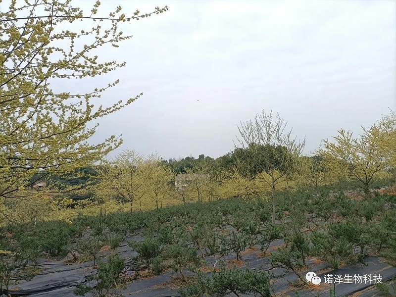 智慧引领科技创新，诚信利他共谋发展