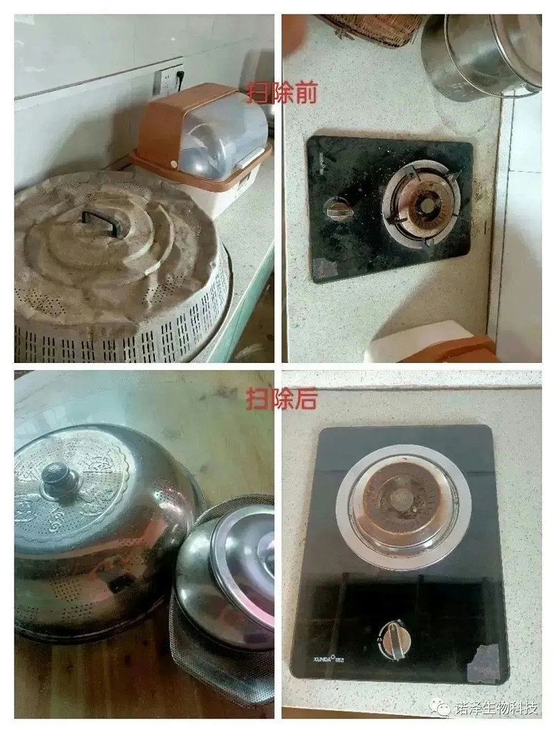 诺泽人的劳动观--觉悟人生、奉献人生