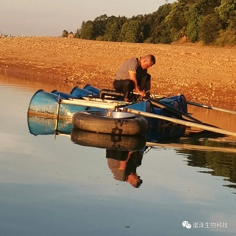 “汗”卫诺泽，“暑”你最美--诺泽生物园负责人杨师傅抗旱记