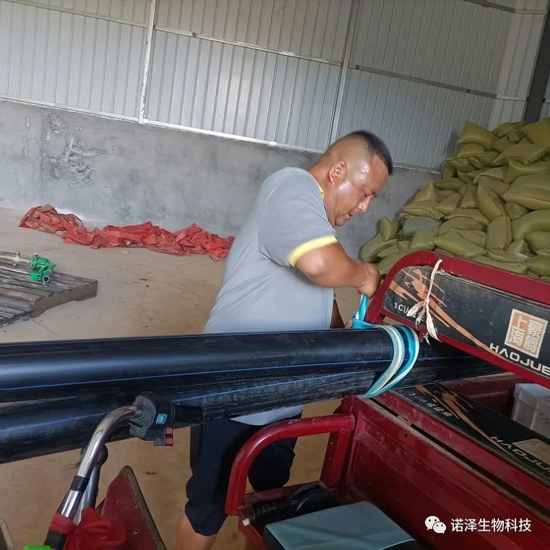 “汗”卫诺泽，“暑”你最美--诺泽生物园负责人杨师傅抗旱记