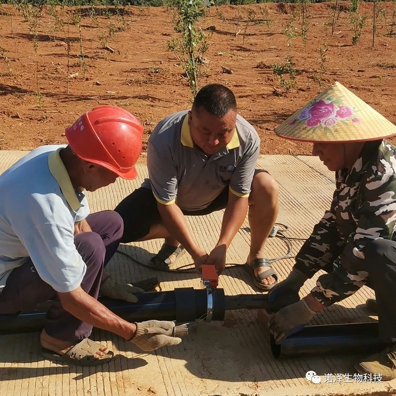 “汗”卫诺泽，“暑”你最美--诺泽生物园负责人杨师傅抗旱记