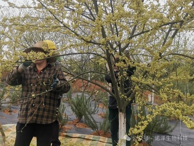 不如见一面