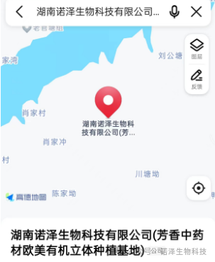 不如见一面