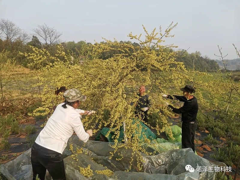 喜报--诺泽生物荣获中国“科技小院”称号！