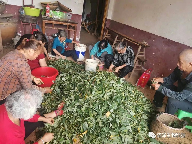喜报--诺泽生物荣获中国“科技小院”称号！