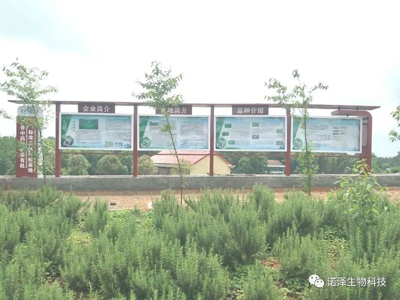 荣光！诺泽生物荣获“湖南省林业产业龙头企业”