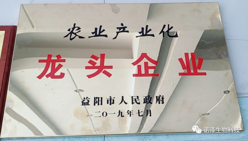 荣光！诺泽生物荣获“湖南省林业产业龙头企业”