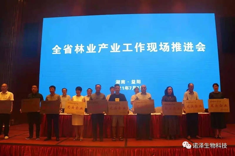 荣光！诺泽生物荣获“湖南省林业产业龙头企业”