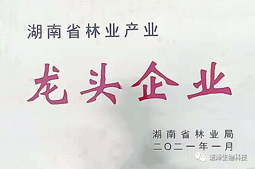 荣光！诺泽生物荣获“湖南省林业产业龙头企业”