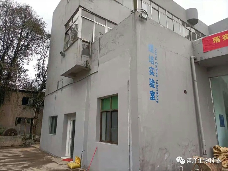 荣光！诺泽生物荣获“湖南省林业产业龙头企业”