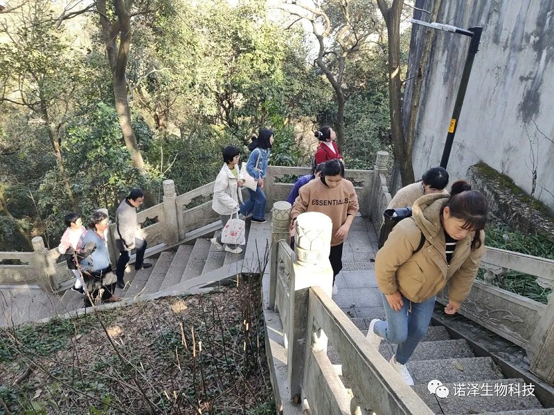 做大自在女神！