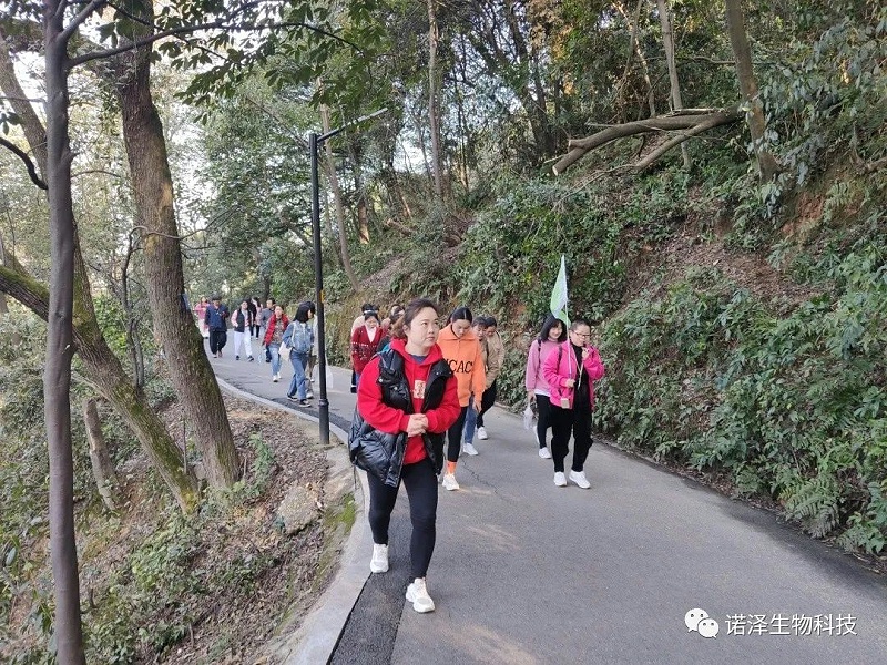 做大自在女神！