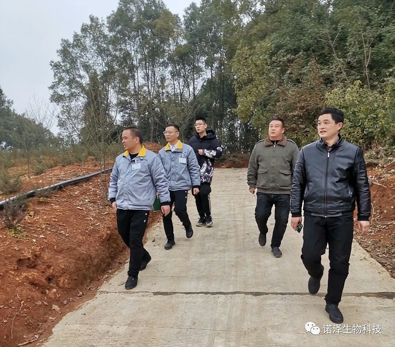 春龙抬首，鸿运当头！