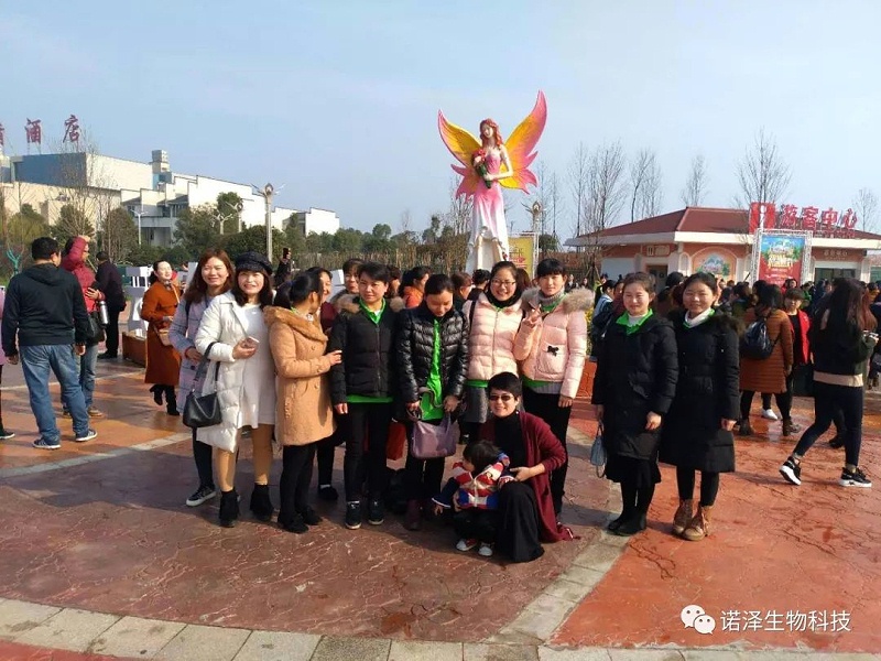 魅力诺泽，你知道吗？