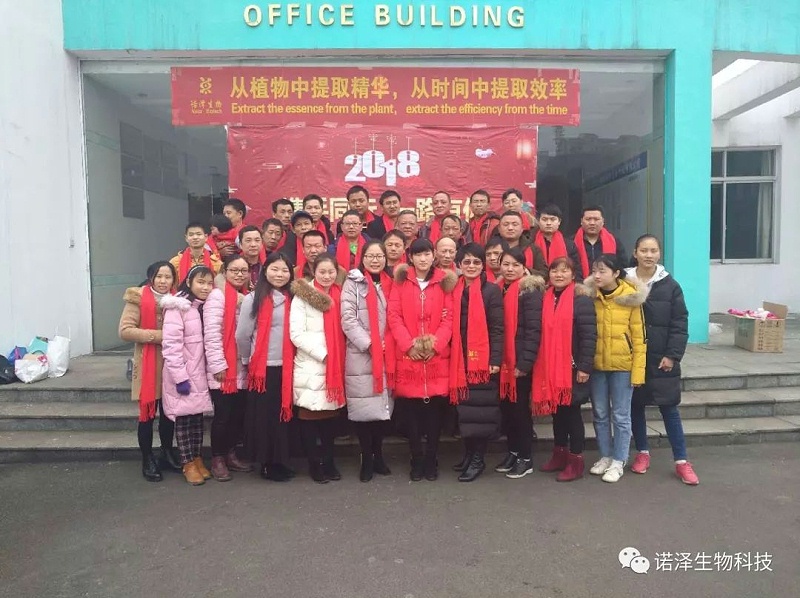 魅力诺泽，你知道吗？