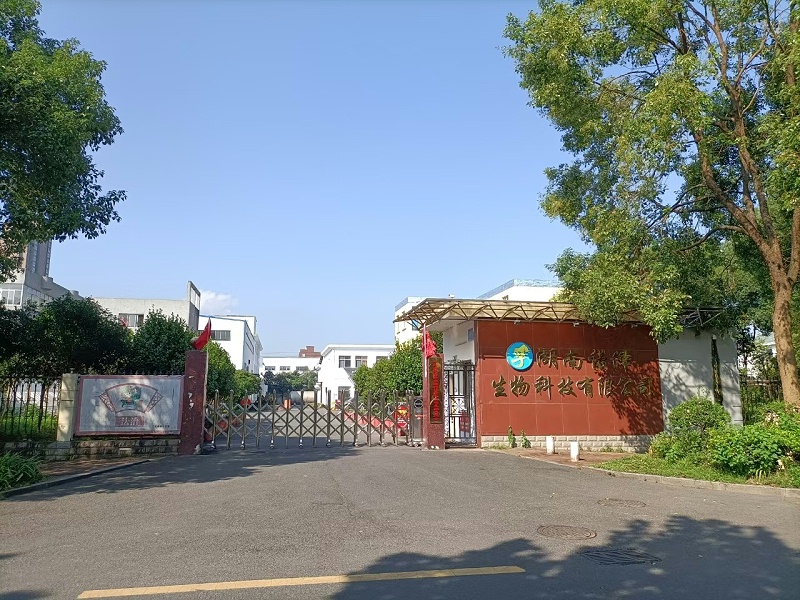 魅力诺泽，你知道吗？