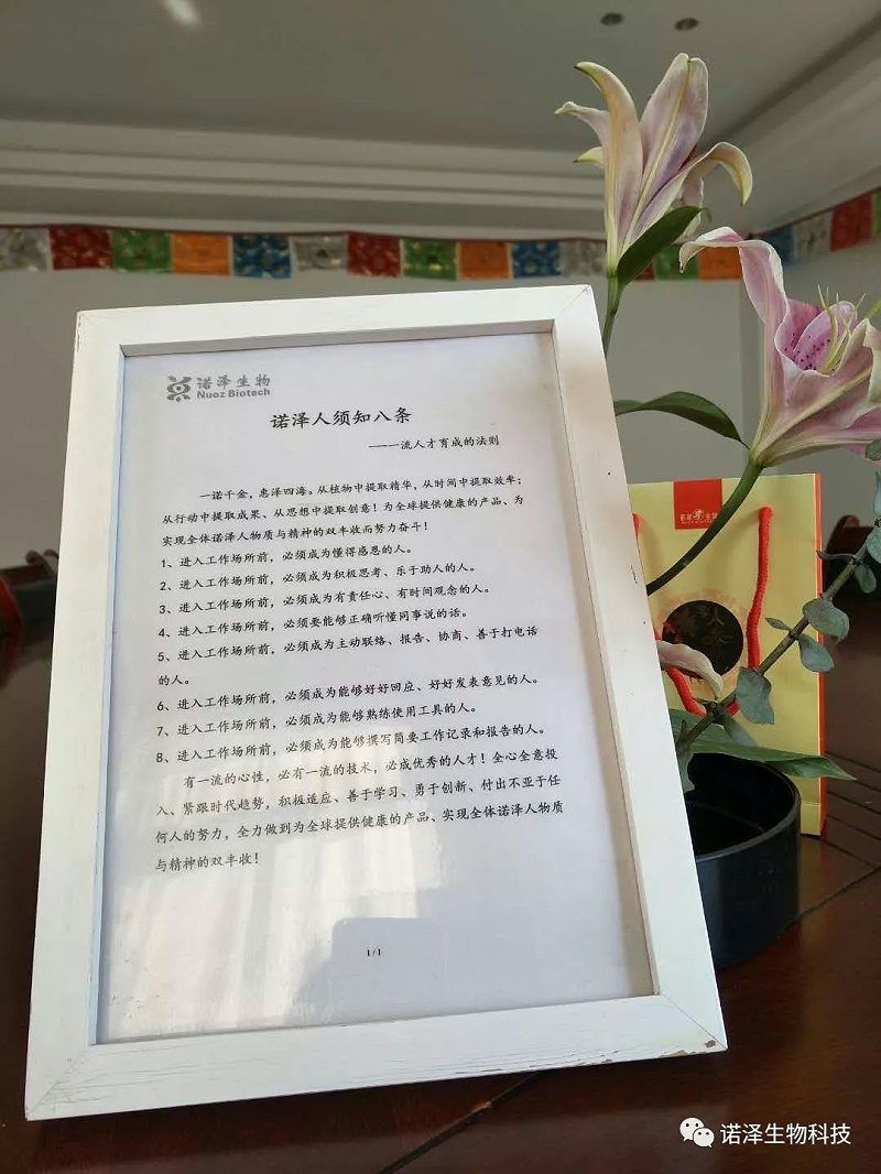 魅力诺泽，你知道吗？