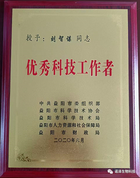 守正创新，共“谋”美好未来