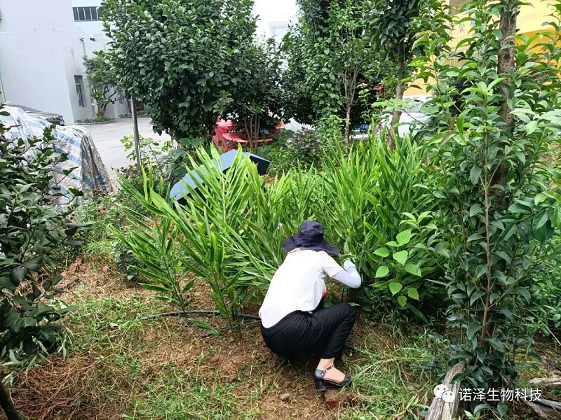 诺泽人专栏---一诺千金与“我”