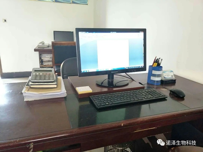 诺泽扫除道进阶之路