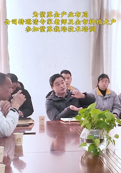 紫苏栽培技术培训，只为淬炼至真至纯的产品！