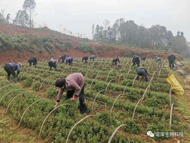 雨水生百谷，美好始如初
