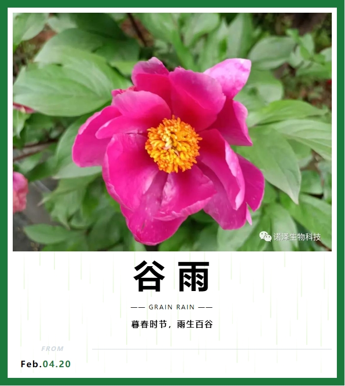 雨水生百谷，美好始如初