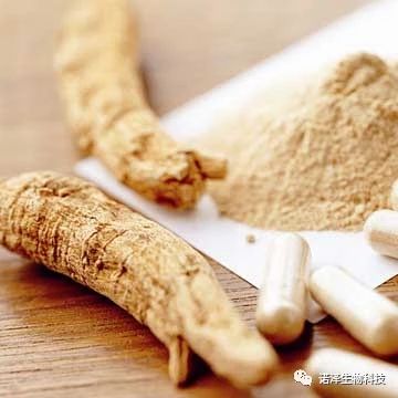 诺泽生物健康养生的产品你知道哪些？