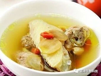 诺泽生物健康养生的产品你知道哪些？